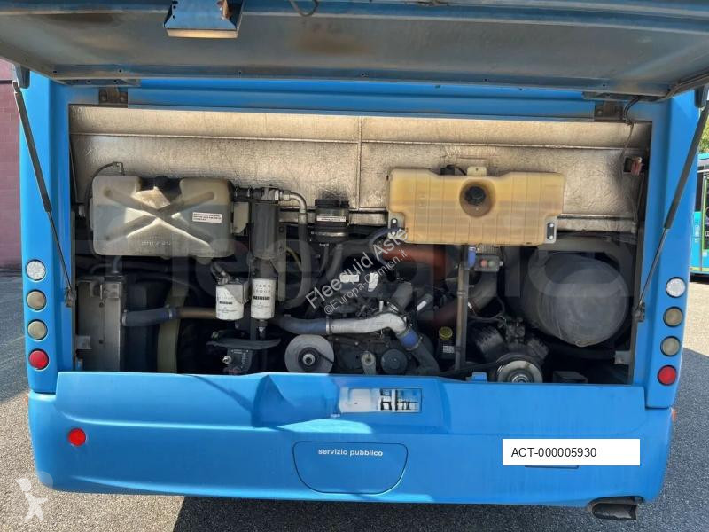 Buss Iveco