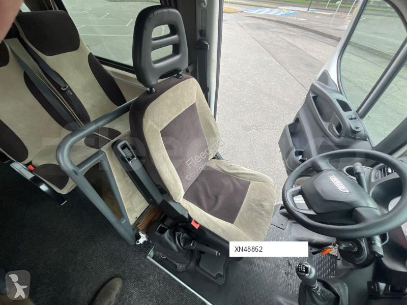Buss Iveco