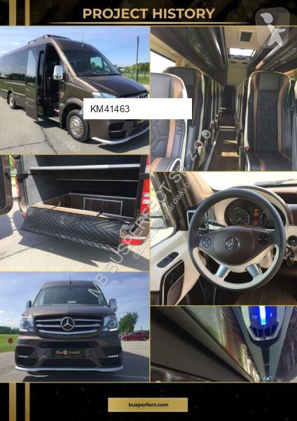 Véhicule utilitaire Mercedes 519CDI - MB...