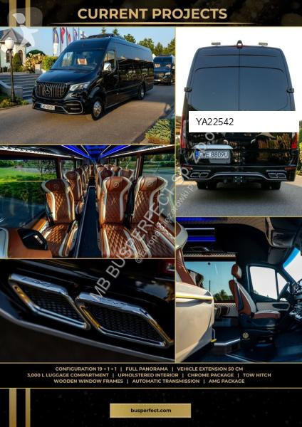 Véhicule utilitaire Mercedes 519 CDI – MB...