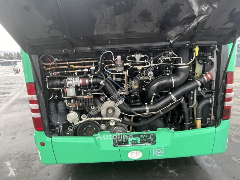 Buss Mercedes O 530 G CNG