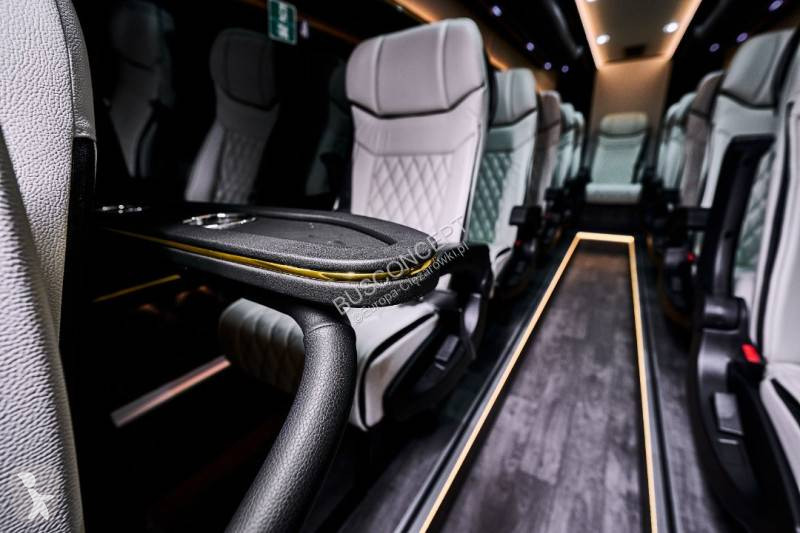 Buss Mercedes 519 VIP 11+1+1