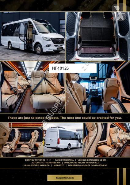 Véhicule utilitaire Mercedes 519 CDI – MB...