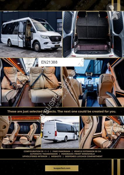 Véhicule utilitaire Mercedes 519 CDI – MB...