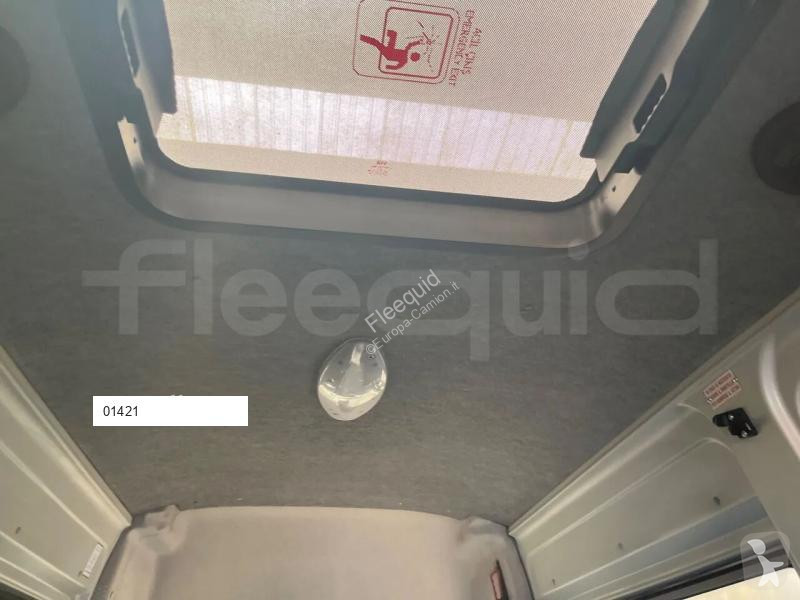 Iveco  bus