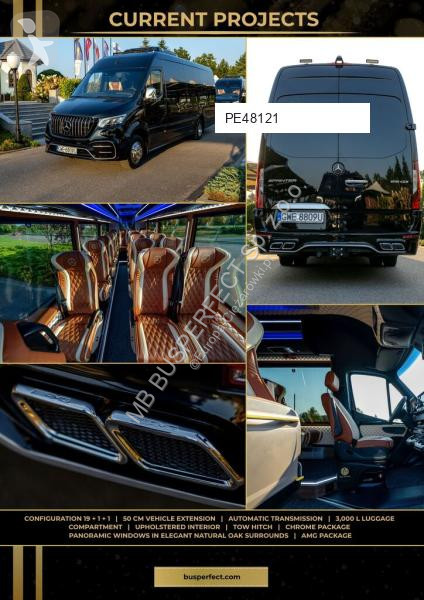 Véhicule utilitaire Mercedes 519 CDI – MB...