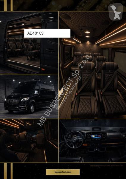 Véhicule utilitaire Mercedes 519 CDI – MB...