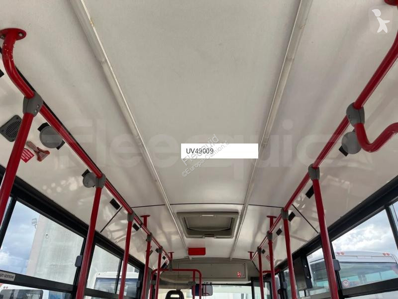 باص Iveco Cacciamali