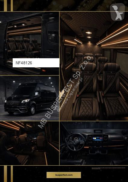 Véhicule utilitaire Mercedes 519 CDI – MB...