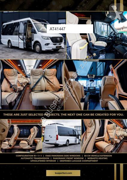Véhicule utilitaire Mercedes 519 CDI – MB...