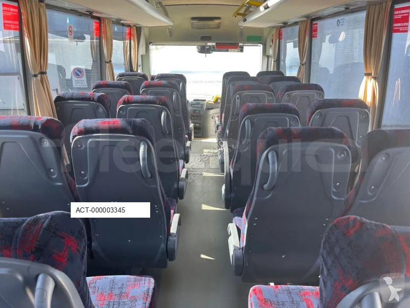 Bus Isuzu Novo