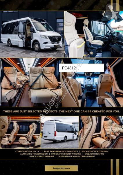 Véhicule utilitaire Mercedes 519 CDI – MB...