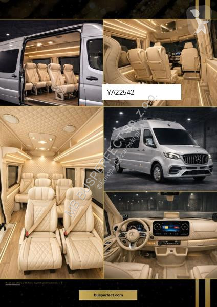 Véhicule utilitaire Mercedes 519 CDI – MB...