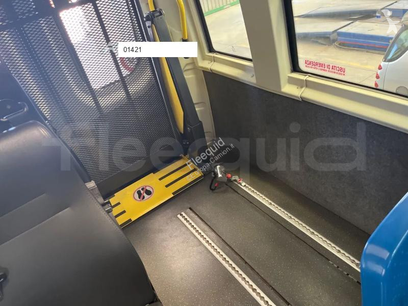 Iveco  bus