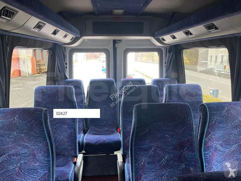 Iveco  bus
