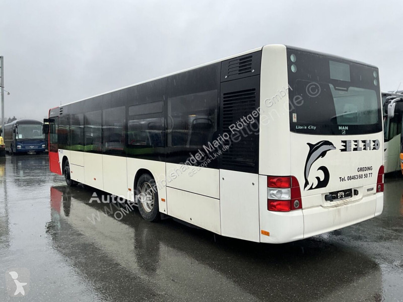 Autobussen MAN A 37 Lion´s City