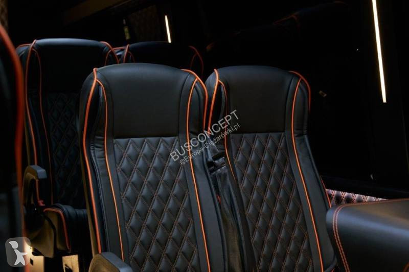 Buss Mercedes 519 16+1+1 telma