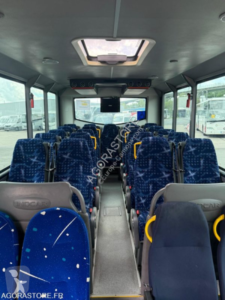 Iveco  bus