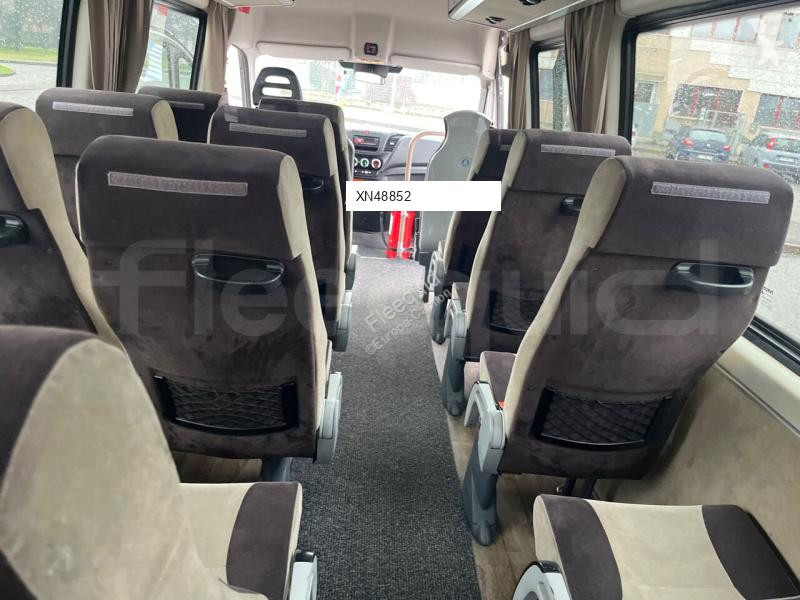Buss Iveco