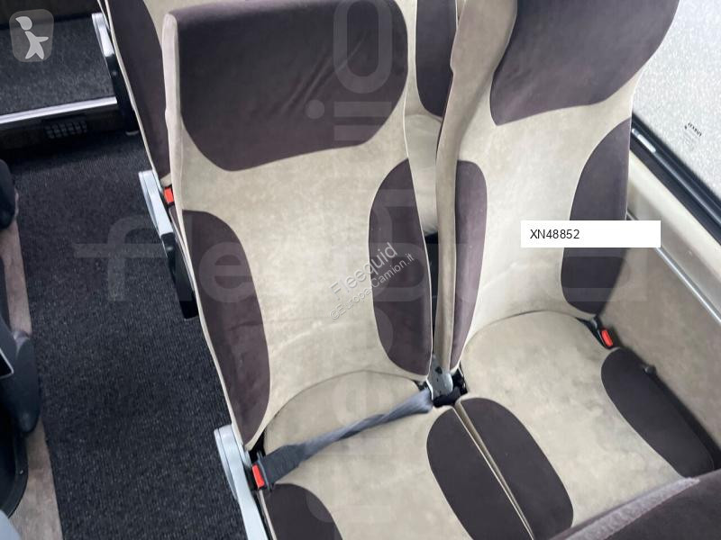 Buss Iveco