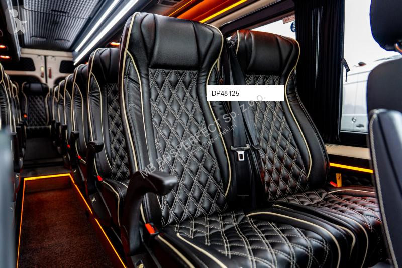Autobús Mercedes 519CDI – MB BUSPERFECT - VIP Line