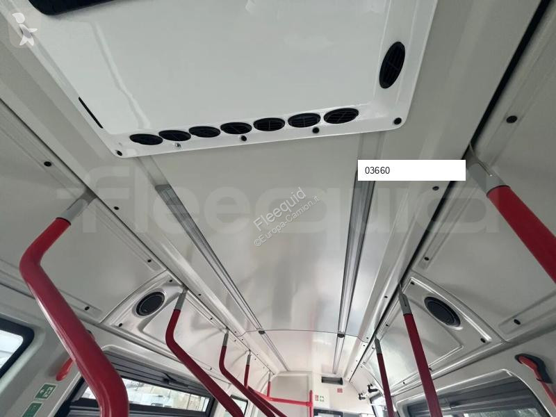 Iveco  bus