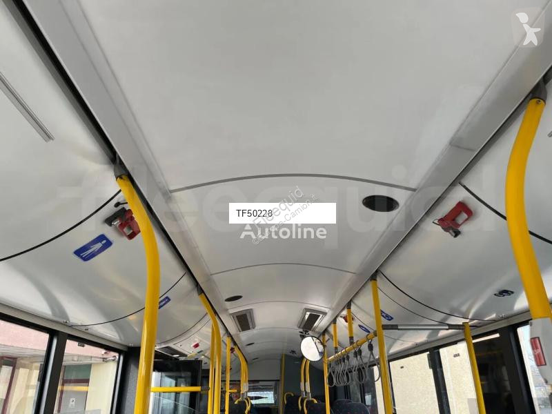 Buss Solaris