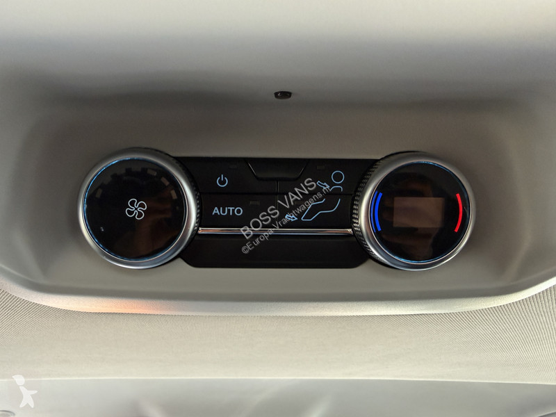 Véhicule utilitaire Ford Custom Custom 233PK PHEV
