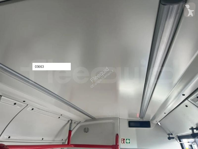 Iveco  bus