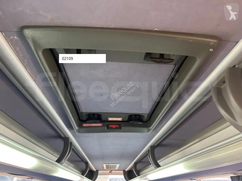 Iveco  bus