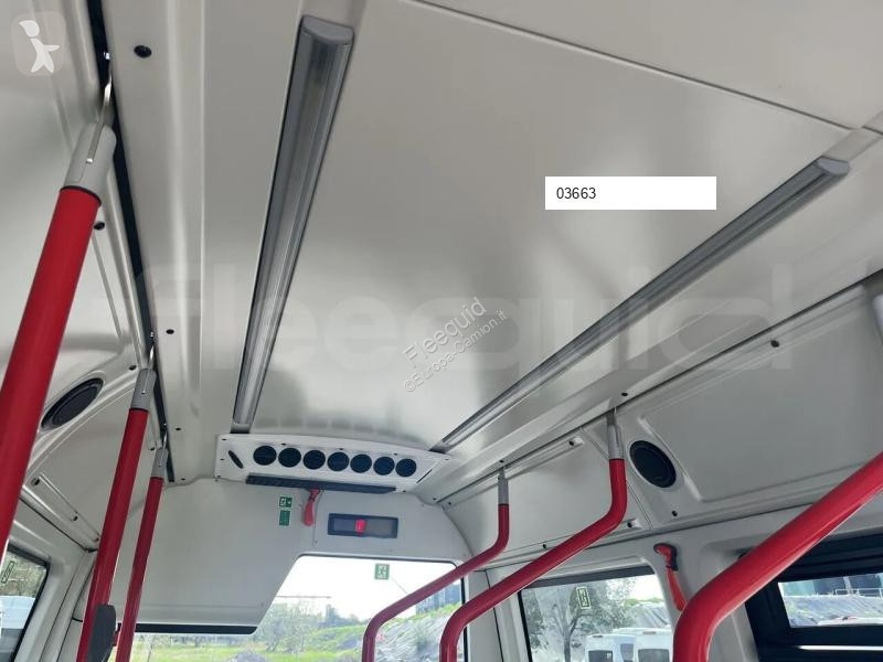 Iveco  bus