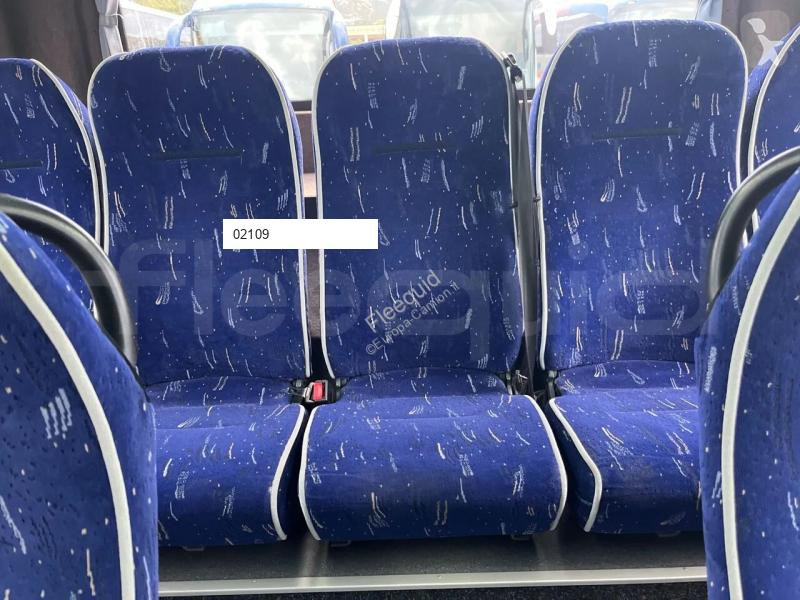 Iveco  bus