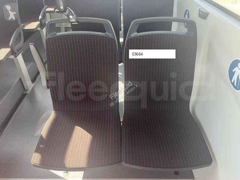 Iveco  bus