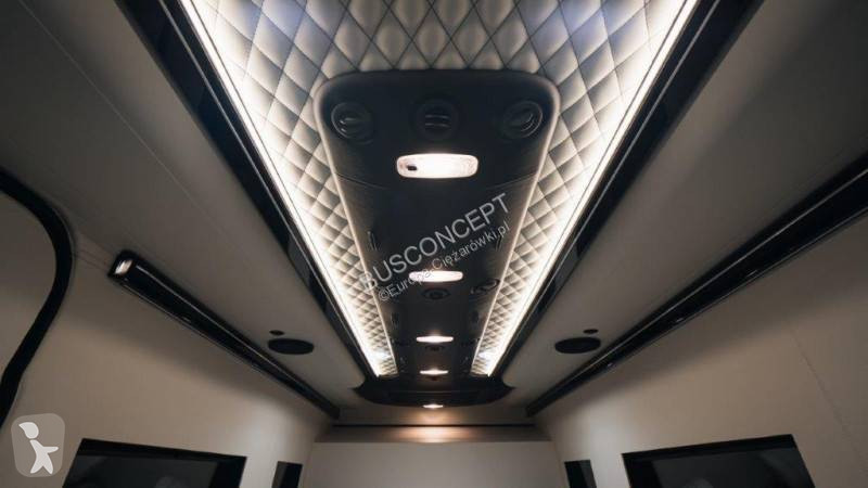 Autobus Mercedes 319 L3H2 4 VIP + 2
