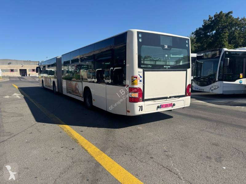 باص MAN A231