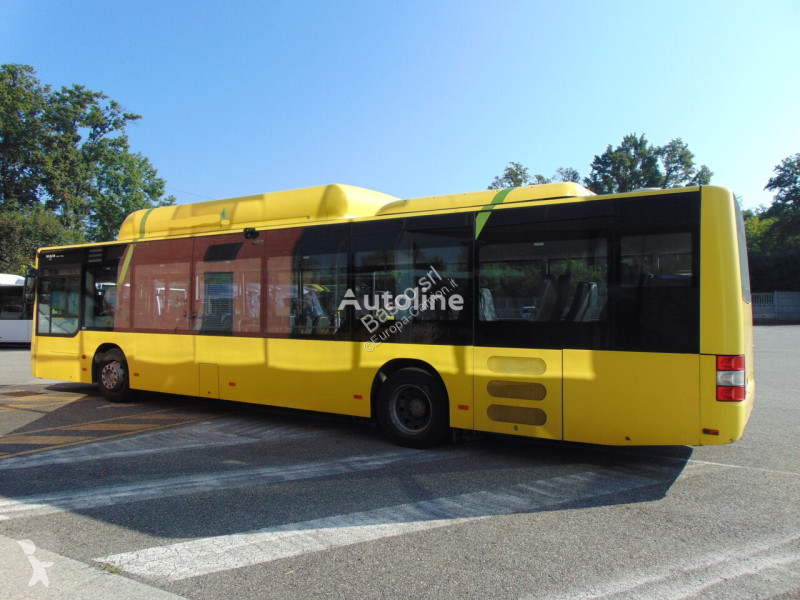 Autobuz MAN A21