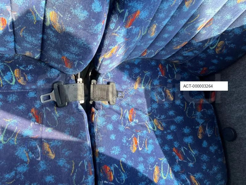 Autobussen Temsa