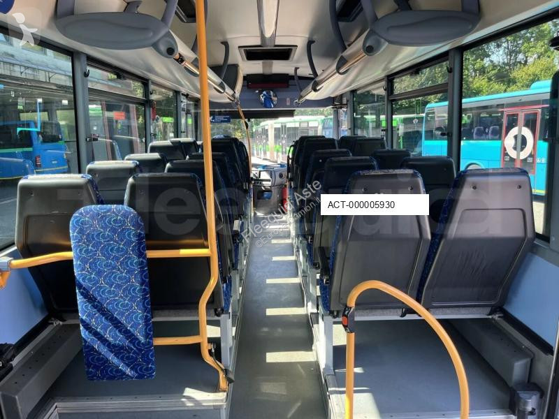 Buss Iveco
