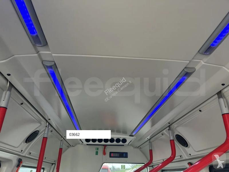 Iveco  bus