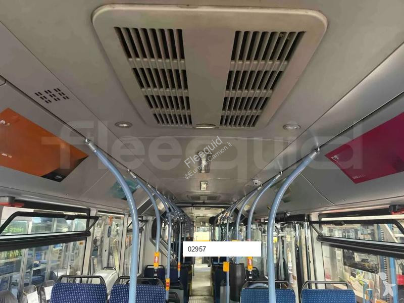 MAN  bus