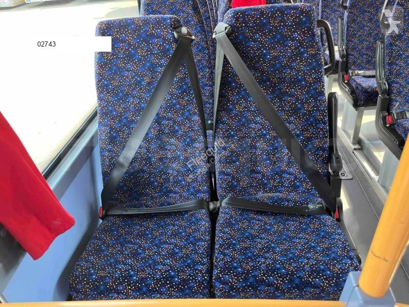 Iveco  bus