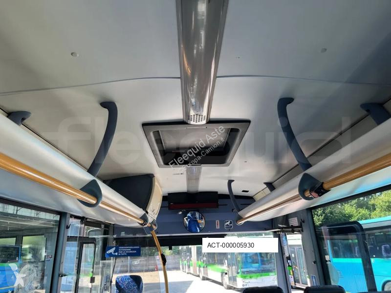 Buss Iveco