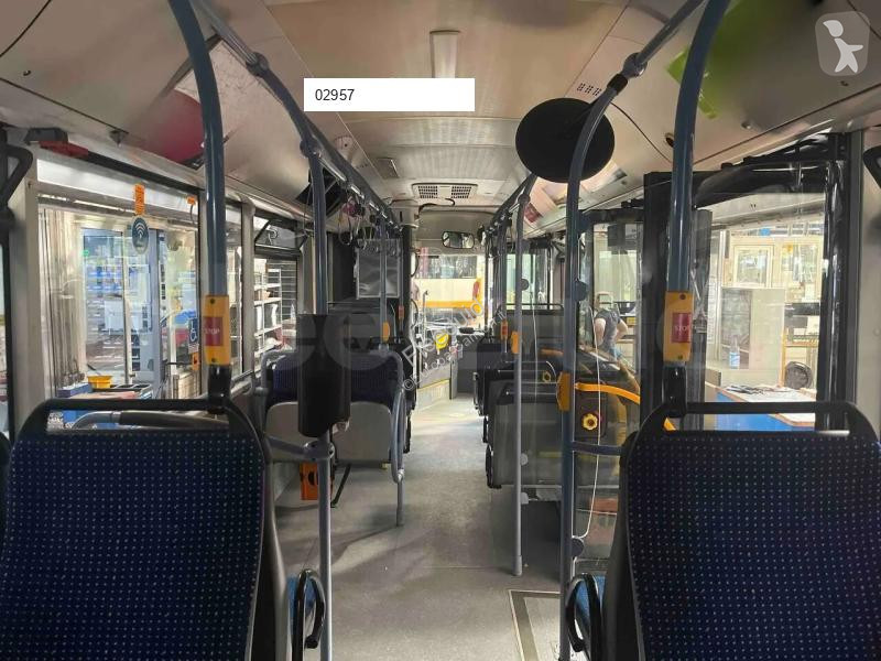 MAN  bus