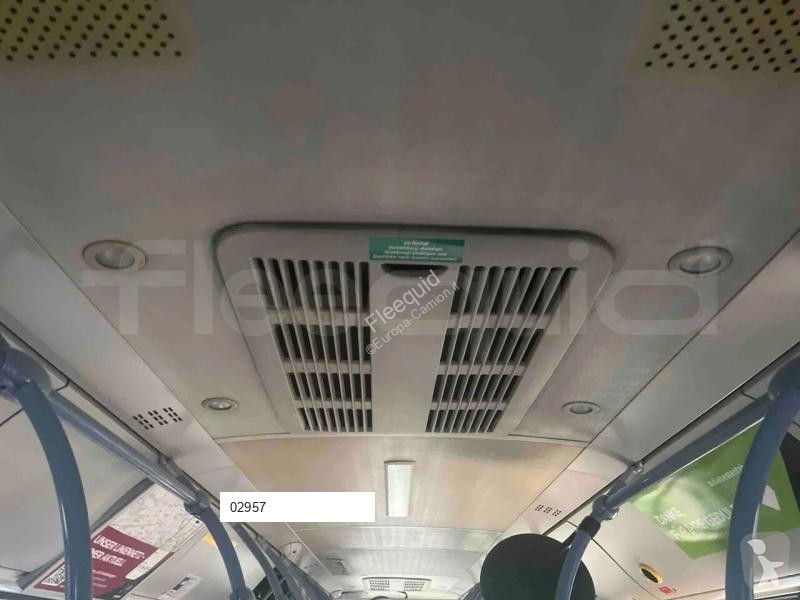 MAN  bus