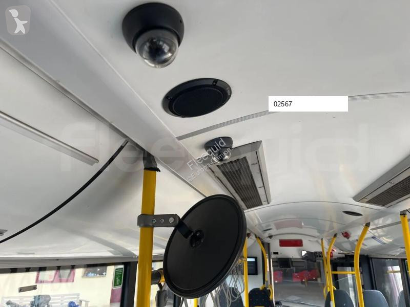 Solaris  bus