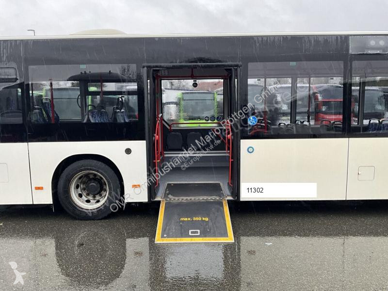 Autobussen MAN A 37 Lion´s City