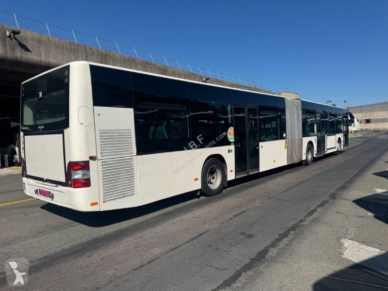 باص MAN A231