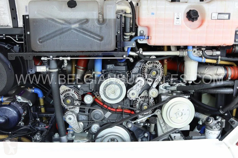 Bus Iveco 12m Pop light / Double middle door /...