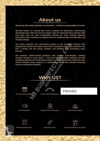 Véhicule utilitaire Mercedes 519 CDI – MB...