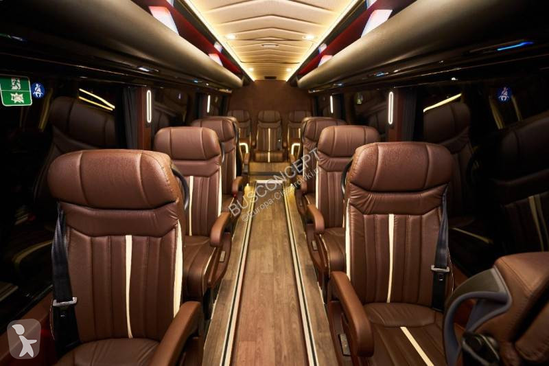 Autobuz Mercedes 519 cdi VIP 15